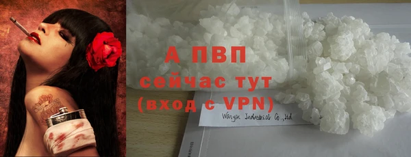 шишки Балабаново